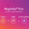 MapInfo Pro 2019 Decisions